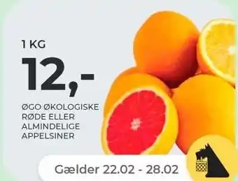 Netto ØGO økologiske røde eller almindelige appelsiner, 1 kg tilbud