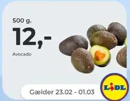 Netto Avocado, 500 g tilbud