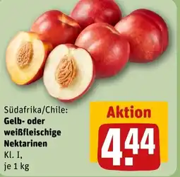 REWE Südafrika/Chile: Gelb- oder weißfleischige Nektarinen tilbud