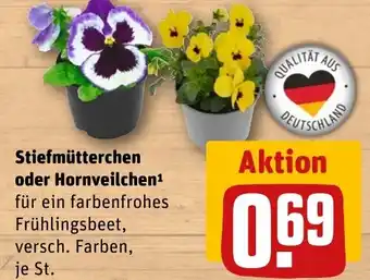 REWE Stiefmütterchen oder Hornveilchen tilbud