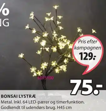 JYSK Bonsai Lystræ tilbud