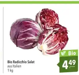 Citti Bio Radicchio Salat aus Italien tilbud