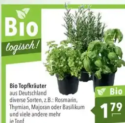 Bio Topfkräuter