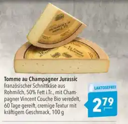 Citti Tomme au Champagner Jurassic tilbud