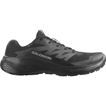 Sport 24 Salomon Alphaglide GTX Vandresko Herre tilbud