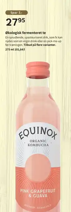 Helsam Økologisk fermenteret te tilbud