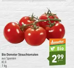 Citti Bio Demeter Strauchtomaten tilbud