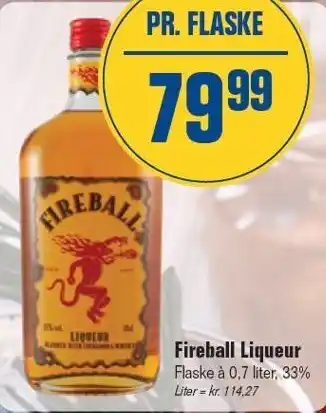 Otto Duborg Fireball Liqueur tilbud