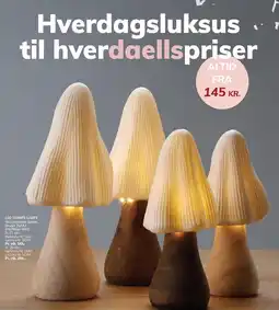 Daells Bolighus LED SVAMPE LAMPE tilbud