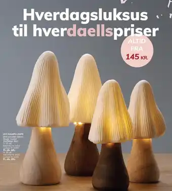 Daells Bolighus LED SVAMPE LAMPE tilbud