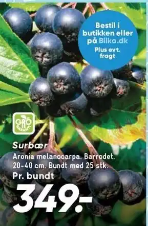 Bilka Surbær tilbud