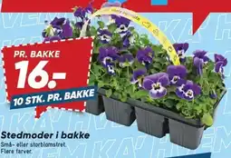 Bilka Stedmoder i bakke tilbud