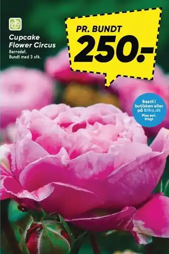 Bilka Cupcake Flower Circus tilbud