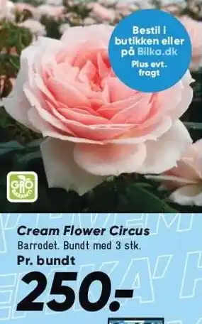 Bilka Cream Flower Circus tilbud