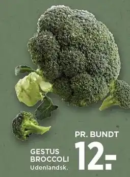 MENY GESTUS BROCCOLI tilbud