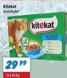 zur Krone Kitekat tilbud