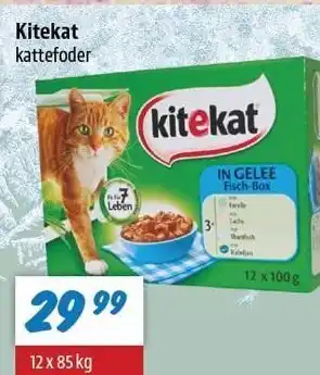 zur Krone Kitekat tilbud