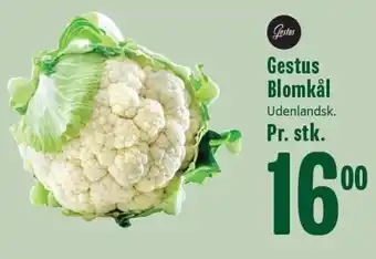 Min Købmand Gestus Blomkål tilbud