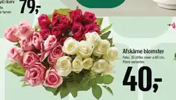 Føtex Afskårne blomster tilbud