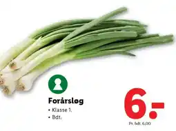 Lidl Forårsløg tilbud