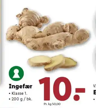 Lidl VITASIA Ingefær tilbud