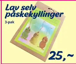 Hi five Lav selv påskekyllinger tilbud