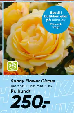 Bilka Sunny Flower Circus tilbud