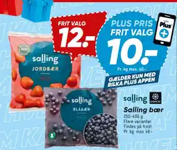 Bilka Salling bær tilbud