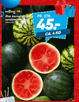 Bilka Stor kernefattig vandmelon tilbud