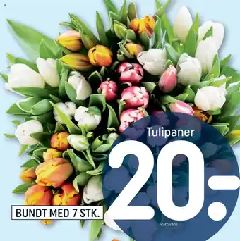 REMA 1000 Tulipaner tilbud