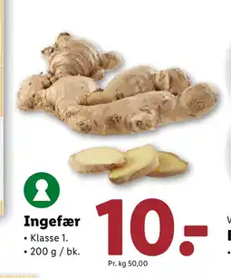 Lidl Ingefær tilbud