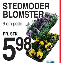 ABC Lavpris STEDMODER BLOMSTER tilbud