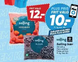 Bilka Salling bær tilbud