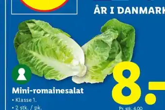 Lidl Mini-romainesalat tilbud