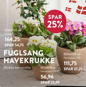 Plantorama FUGLSANG HAVEKRUKKE tilbud