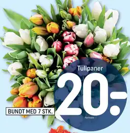 REMA 1000 Tulipaner tilbud