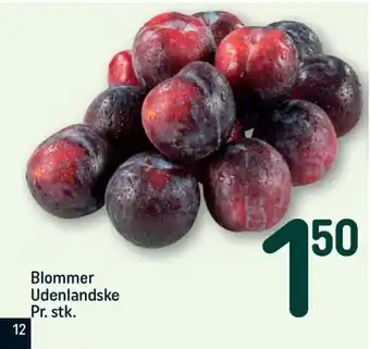 REMA 1000 Blommer Udenlandske tilbud