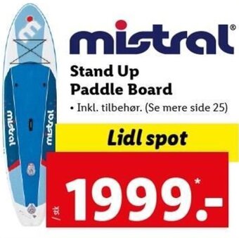 Stand Up Paddle Board