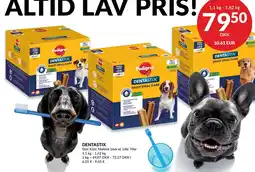 Nielsen's Discount DENTASTIX tilbud