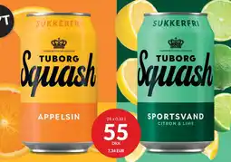 Nielsen's Discount TUBORG SQUASH tilbud