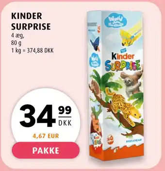 Scandinavian Park KINDER SURPRISE tilbud