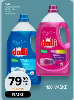 Scandinavian Park DALLI tilbud