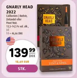 GNARLY HEAD 2022