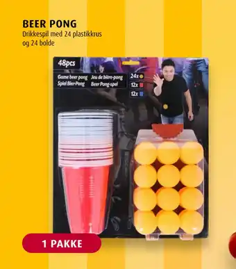 Scandinavian Park BEER PONG tilbud