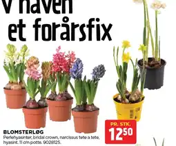 jem & fix Blomsterløg tilbud