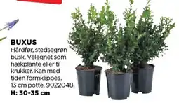 jem & fix BUXUS tilbud