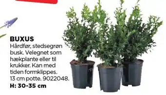 jem & fix BUXUS tilbud