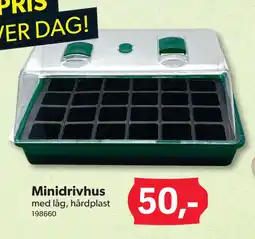 BigDollar Minidrivhus tilbud