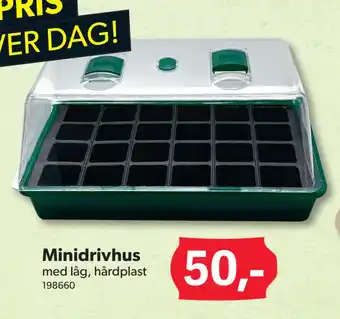 BigDollar Minidrivhus tilbud