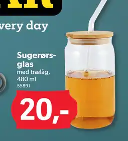 BigDollar Sugerørsglas tilbud